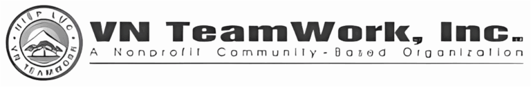 Logo Vn team
